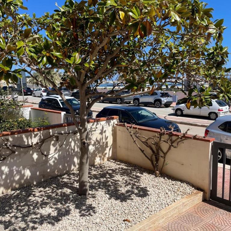 Villa Ciuri di fronte al mare - Casa Vacanze con 2 Camere da Letto - 28