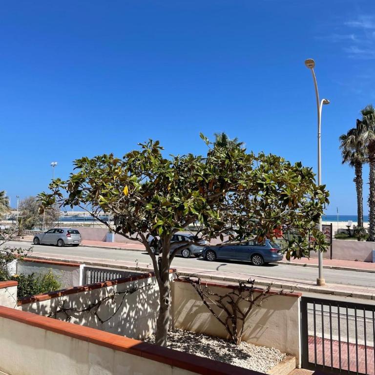 Villa Ciuri di fronte al mare - Casa Vacanze con 2 Camere da Letto - 57