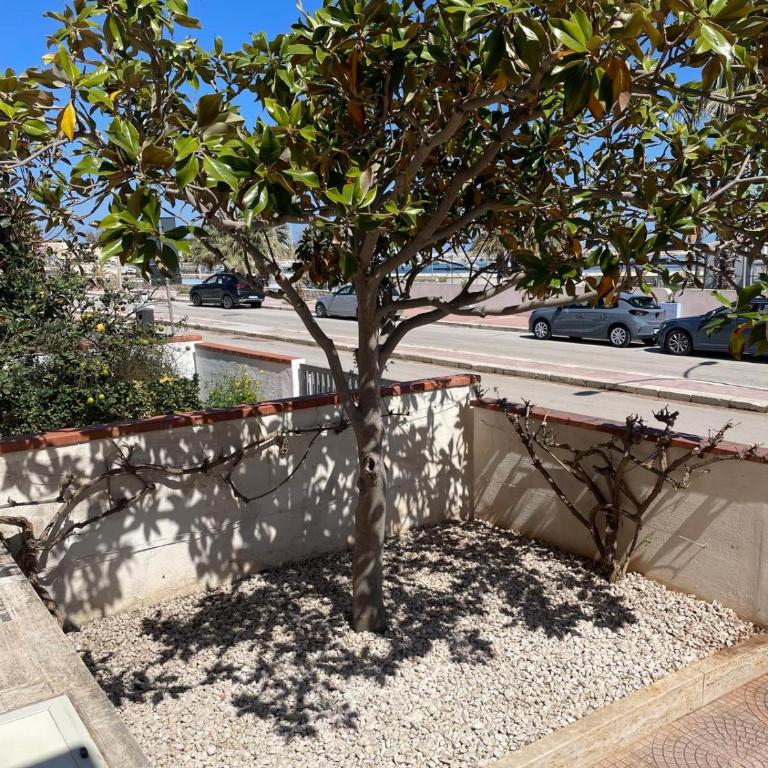 Villa Ciuri di fronte al mare - Casa Vacanze con 2 Camere da Letto - 62