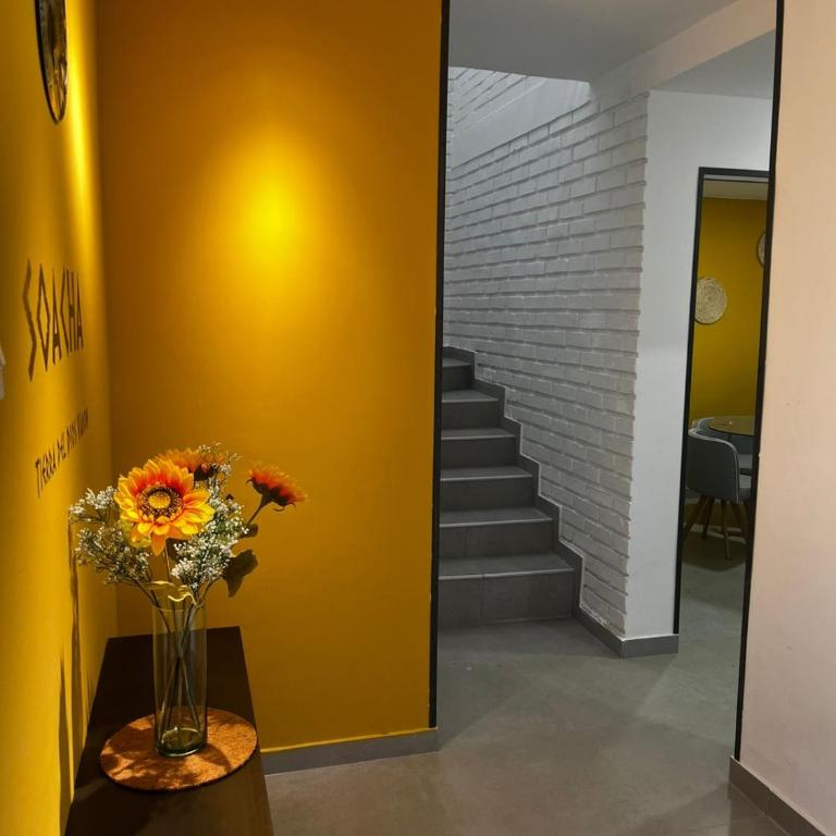Casa quyca - Apartamento de 3 dormitorios - 1