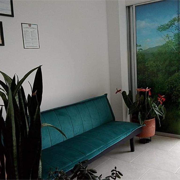 viviendaturísticacafecito - Casa de 4 dormitorios - 32