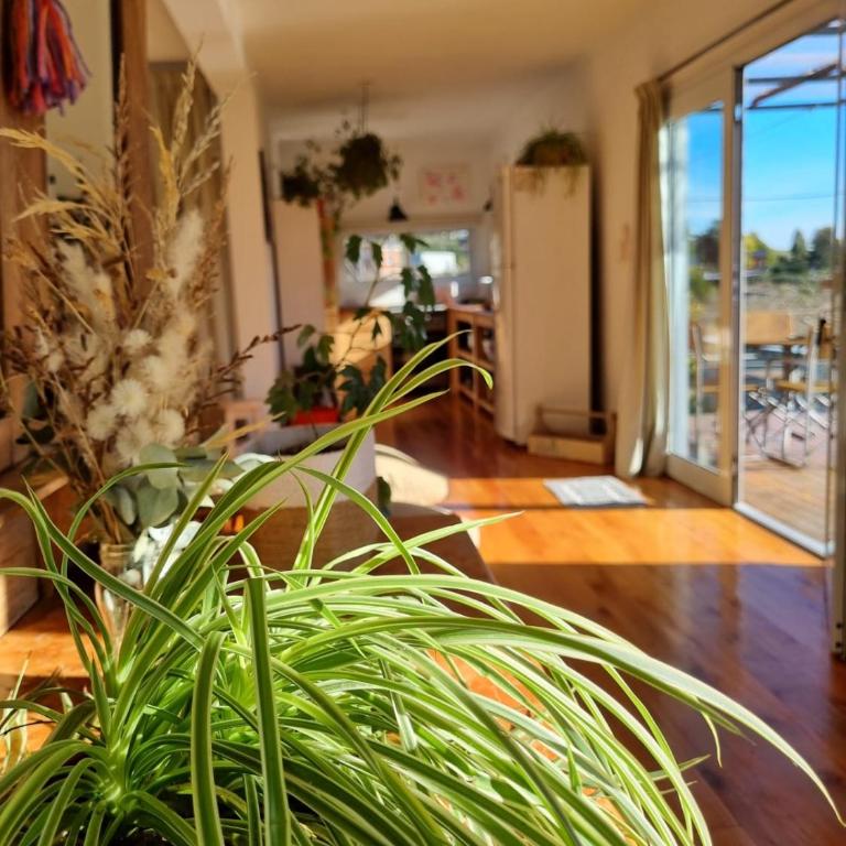 Casa Yenú - Casa con 1 dormitorio - 24