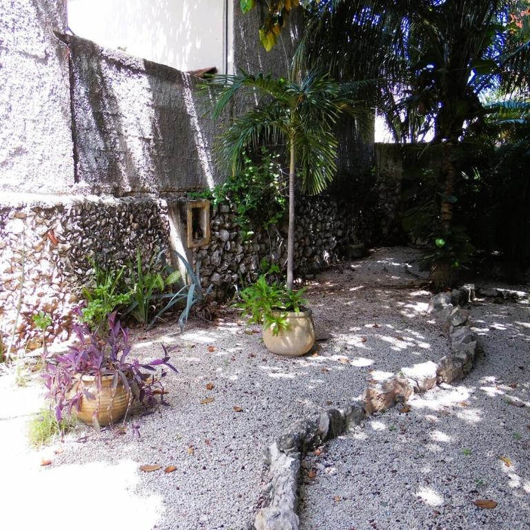 Casa en el Corazón y Centro Histórico de Mérida - Casa de 4 dormitorios - 17
