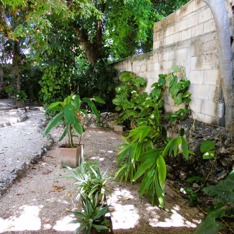 Casa en el Corazón y Centro Histórico de Mérida - Casa de 4 dormitorios - 18
