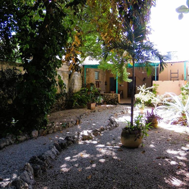 Casa en el Corazón y Centro Histórico de Mérida - Casa de 4 dormitorios - 25