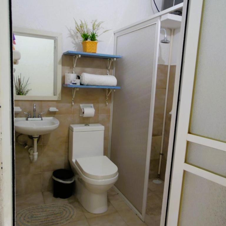 Casa en el Corazón y Centro Histórico de Mérida - Casa de 4 dormitorios - 43