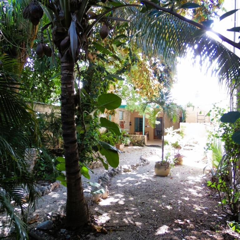Casa en el Corazón y Centro Histórico de Mérida - Casa de 4 dormitorios - 44
