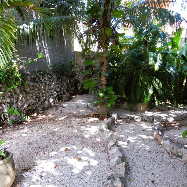 Casa en el Corazón y Centro Histórico de Mérida - Casa de 4 dormitorios - 50