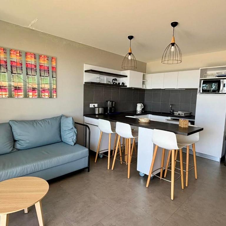 Appartement neuf en bord de mer pour 6 pers, balcon, piscine, jacuzzi, parking, animaux admis - FR-1-194-233 - Appartement - 19