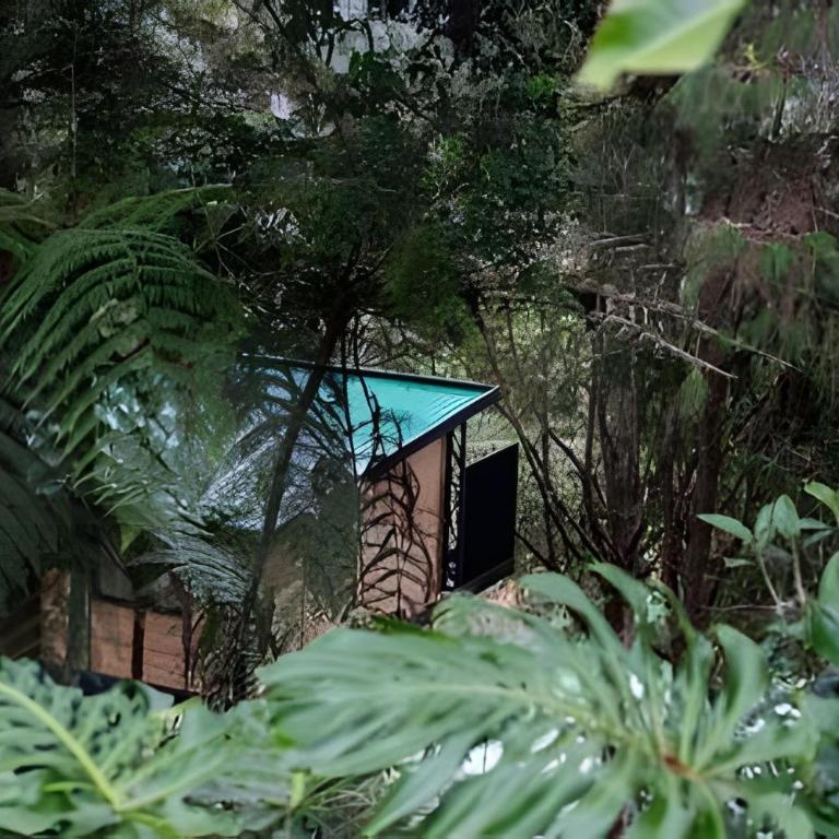 Unique Guatapé - Habitación Cuádruple Estándar - 21