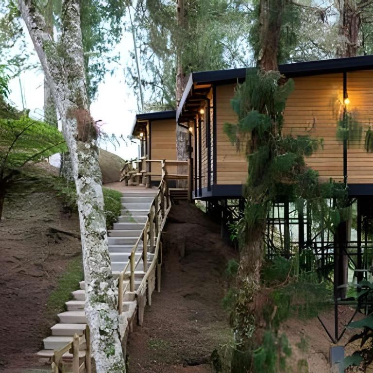 Unique Guatapé - Habitación Cuádruple Deluxe - 6