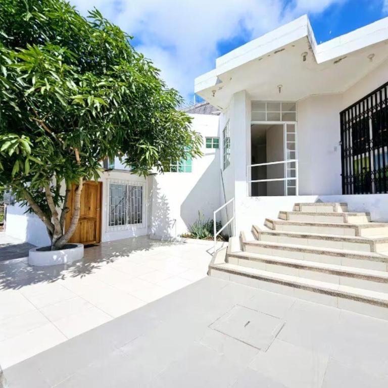 Hammerhead Shark Apartment - Apartamento de 2 dormitorios - 8