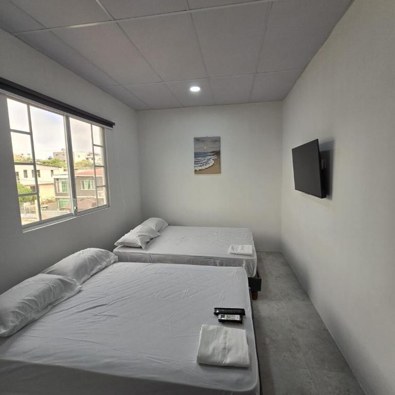 Hammerhead Shark Apartment - Apartamento de 2 dormitorios - 20