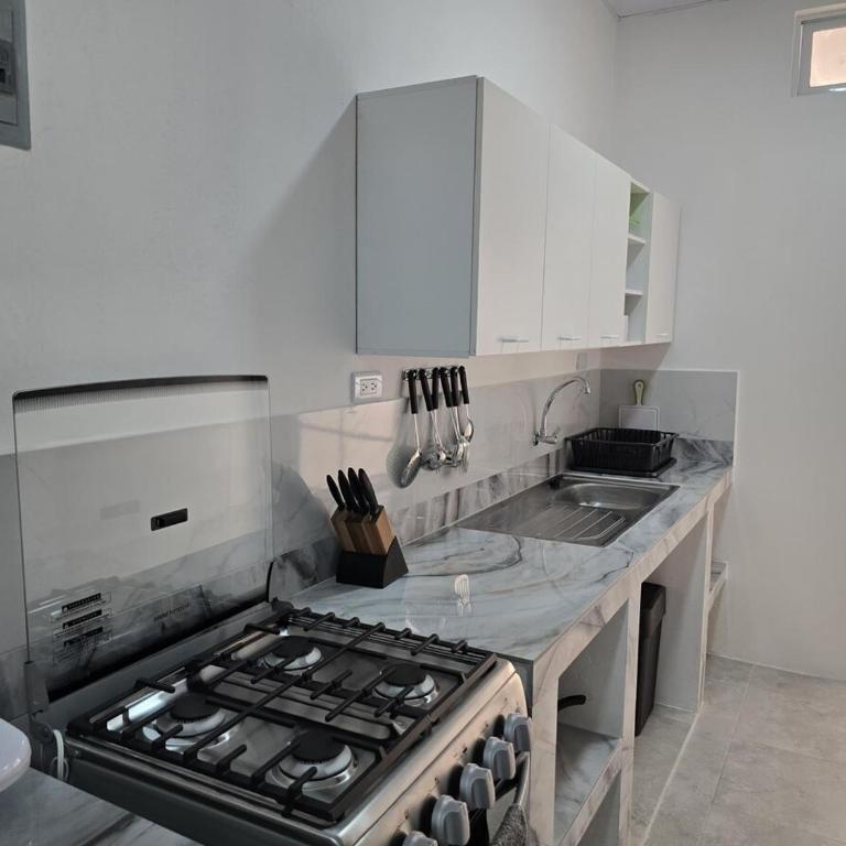 Hammerhead Shark Apartment - Apartamento de 2 dormitorios - 21