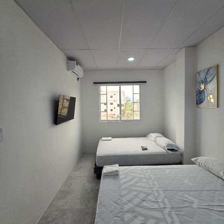 Hammerhead Shark Apartment - Apartamento de 2 dormitorios - 25
