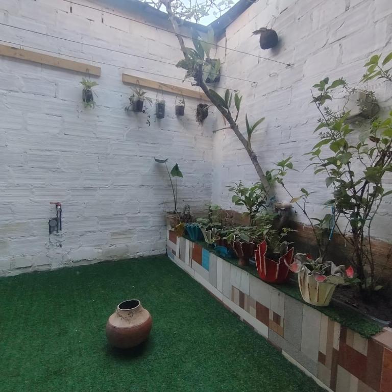 Curuwasi - Two-Bedroom House - 2