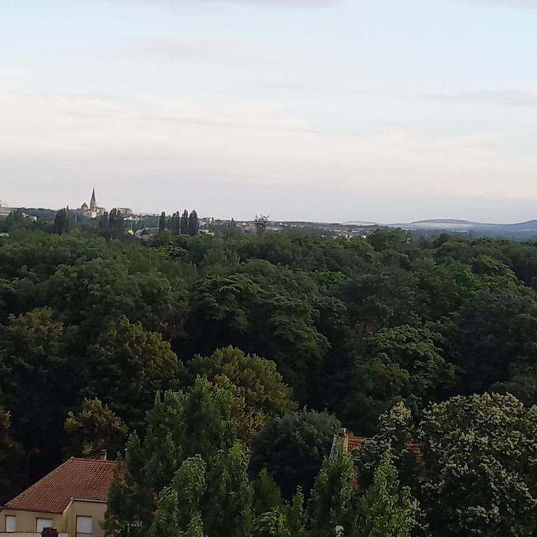 Le Panorama D'Exception-65M2- Parking Privé en Sous-Sol - Appartement 1 Chambre - 11