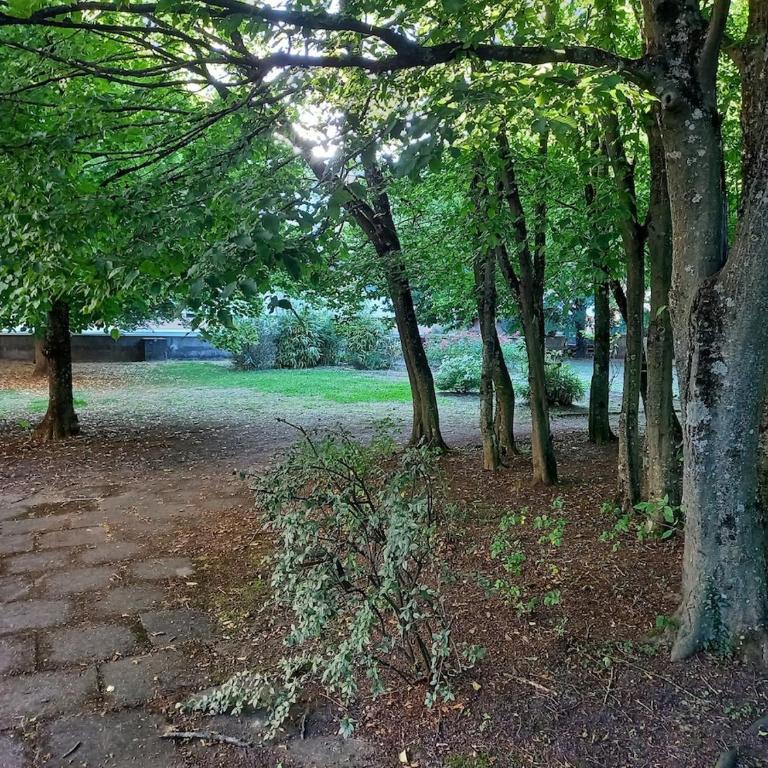 Le Panorama D'Exception-65M2- Parking Privé en Sous-Sol - Appartement 1 Chambre - 9