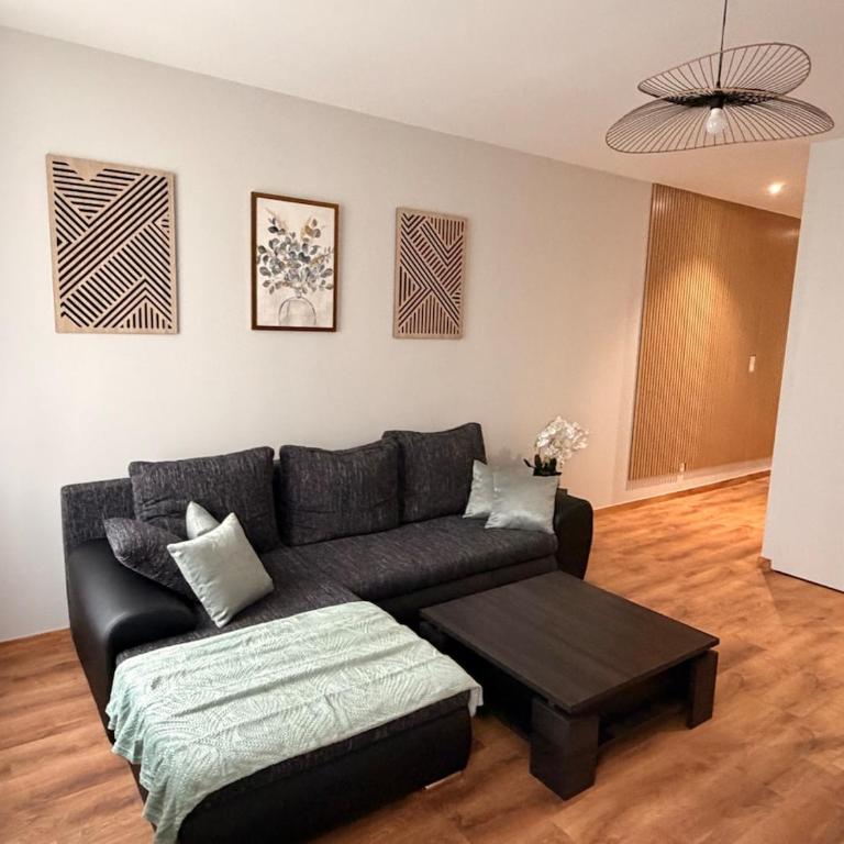Le Platane - T3 cosy proche des Halles - Two-Bedroom Apartment - 2