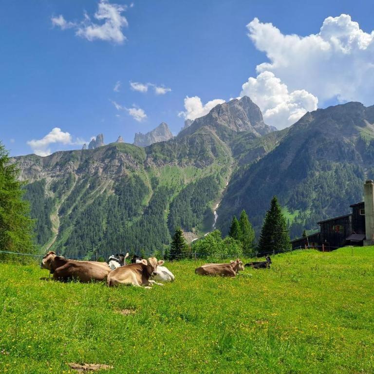 Chalet Scoiattolo - Appartamento - Piano Terra - 8