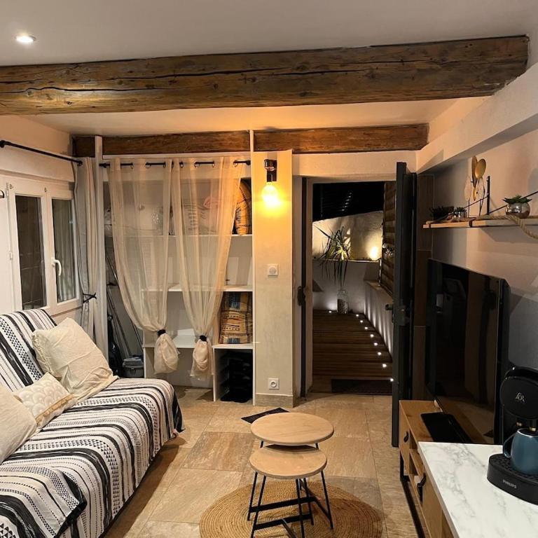 Studio avec double terrasse Roquefort les Pins - Studio - 15