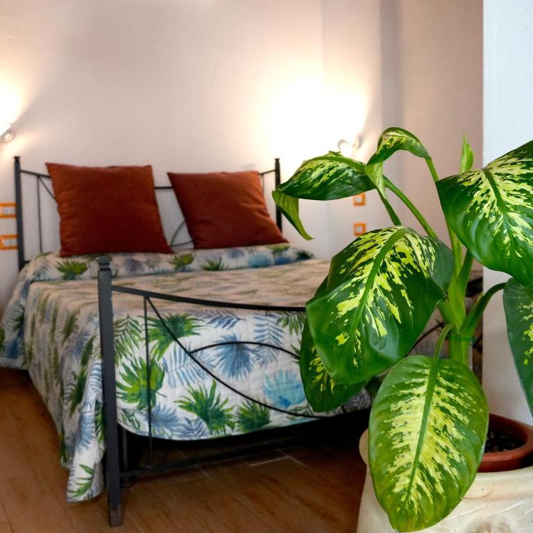 Flowery Inn Villa - Appartamento con 1 Camera da Letto - 3