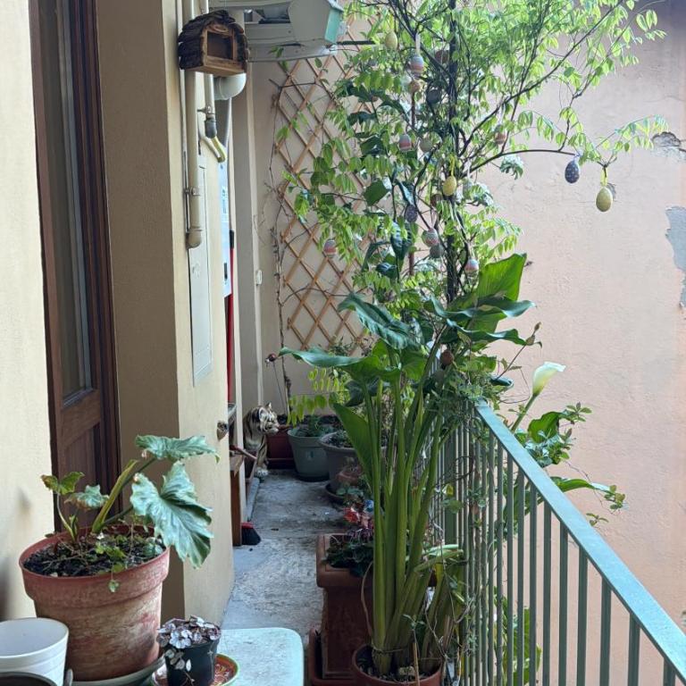 Il balconcino del centro storico - One-Bedroom Apartment - 50
