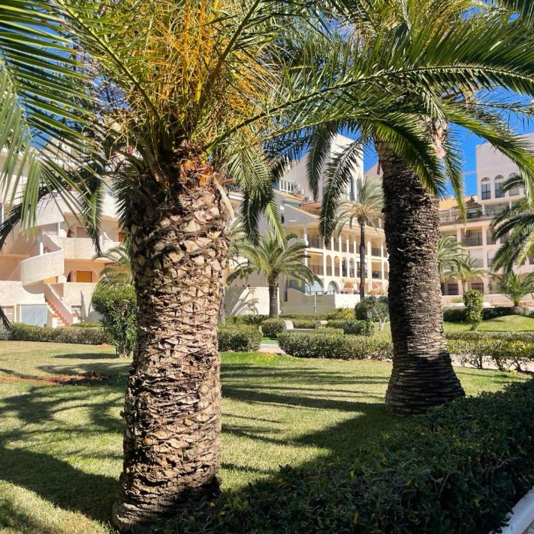 Lido - Descansa junto al Mar Menor - Apartamento de 1 dormitorio - 3