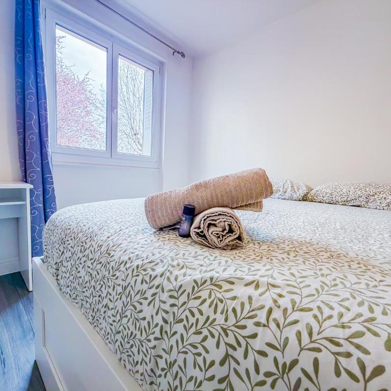 Appartement Spacieux et chic à Clermont-Ferrand - Appartamento con 2 Camere da Letto - 11