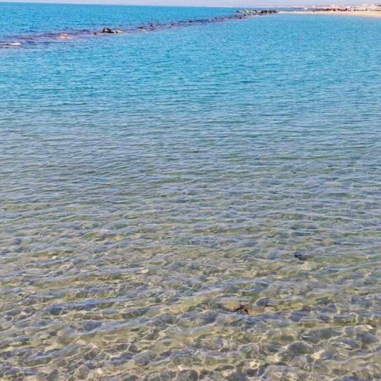 House on the Beach near seafood and wine restaurant - Appartamento con 2 Camere da Letto - 35