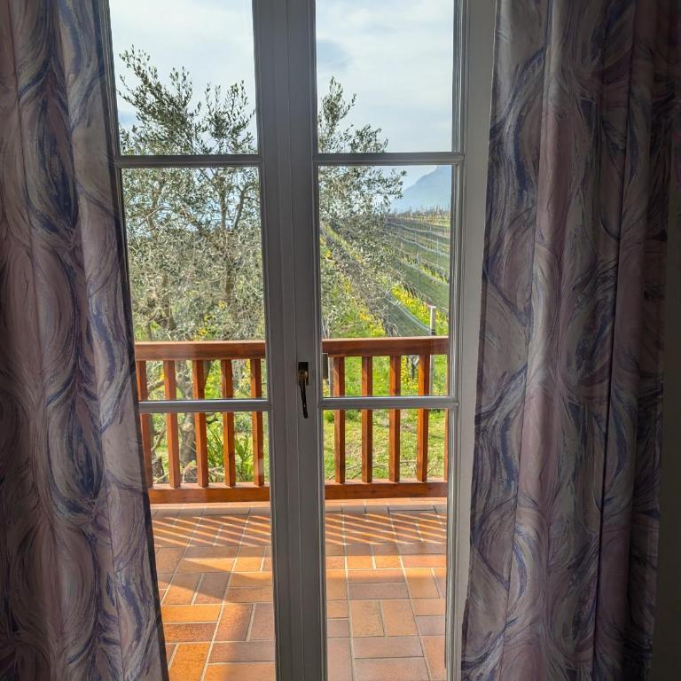 Weingut Hochleiten - Appartamento con 1 Camera da Letto - 6