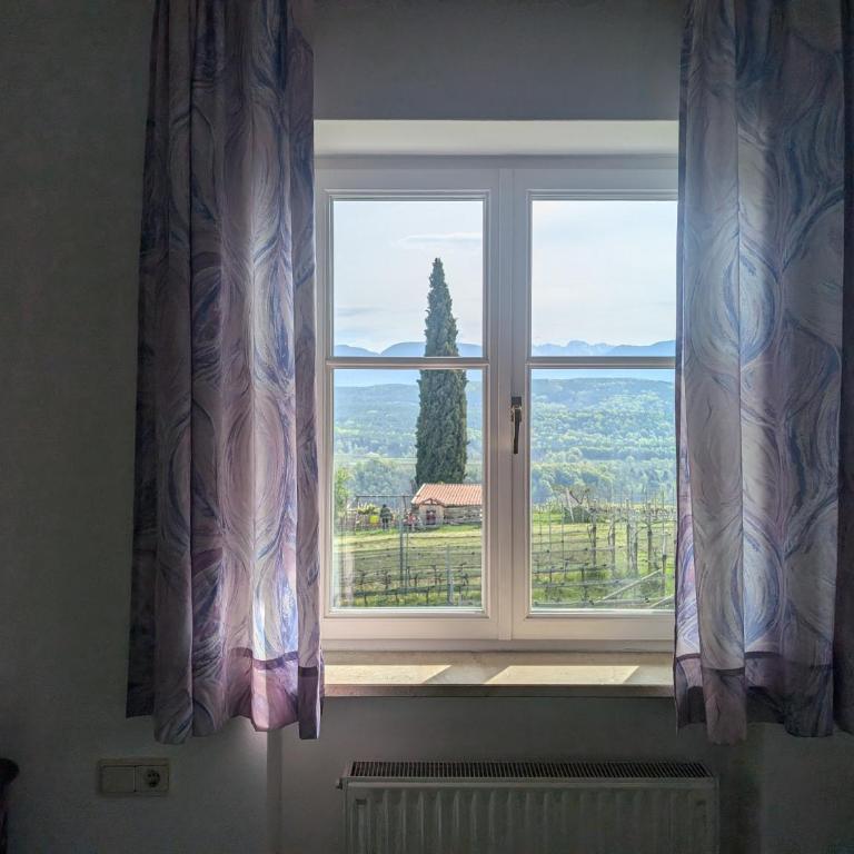 Weingut Hochleiten - Appartamento con 1 Camera da Letto - 8