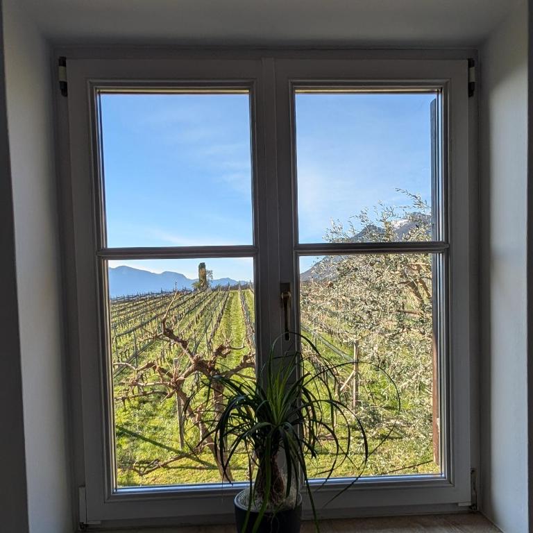 Weingut Hochleiten - Appartamento con 2 Camere da Letto - 3
