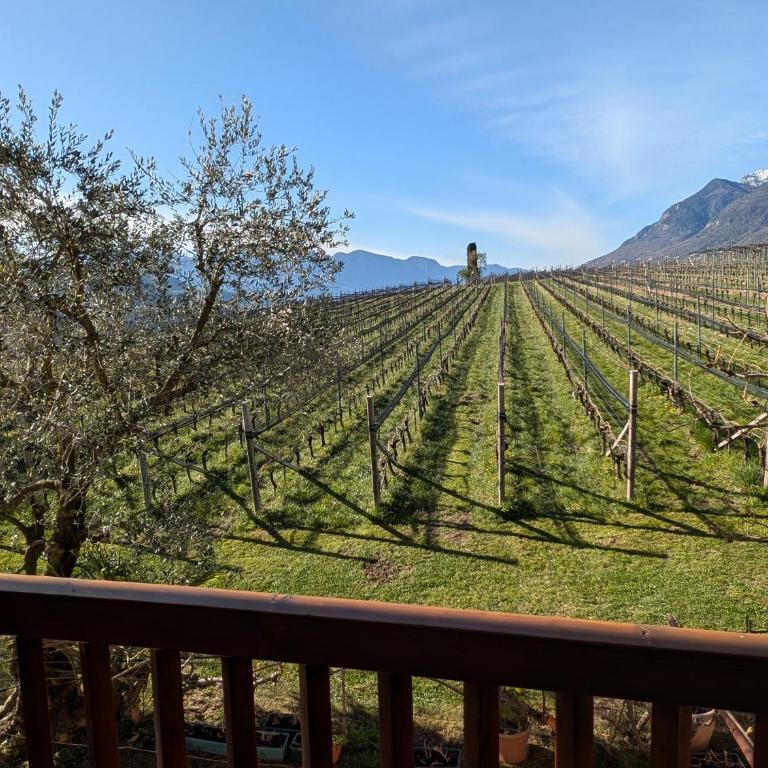 Weingut Hochleiten - Appartamento con 2 Camere da Letto - 10