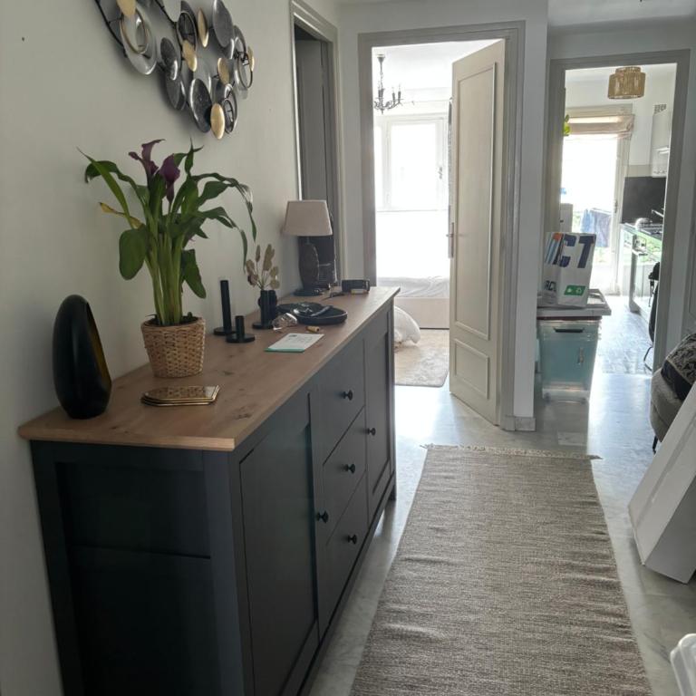 1 bedroom appartement in Cannes cosy and bright - Appartement 1 Chambre - 9