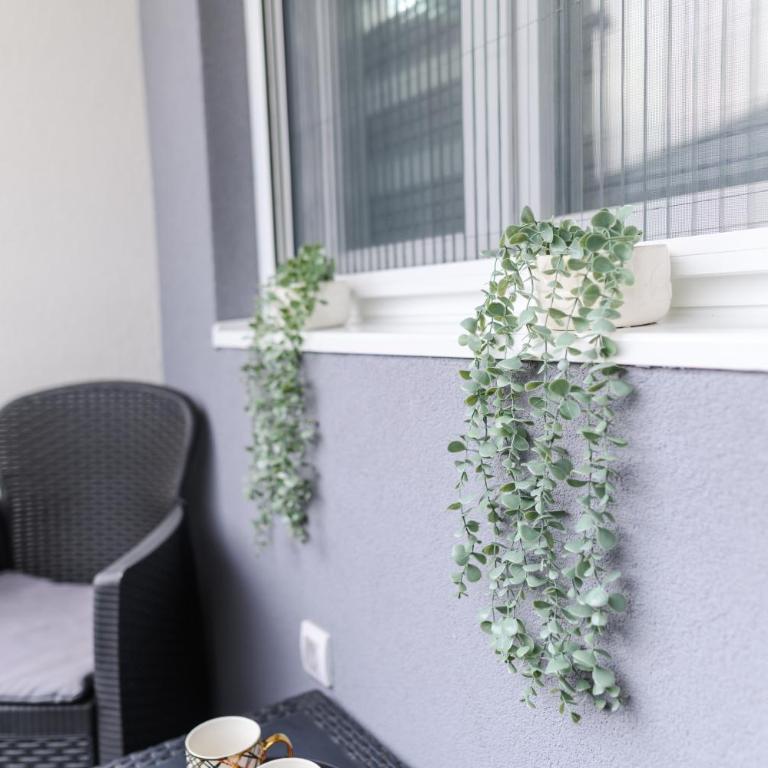 Apartmani LORENA Sokobanja, nedaleko od akvaparka - One-Bedroom Apartment with Balcony and City View - 23