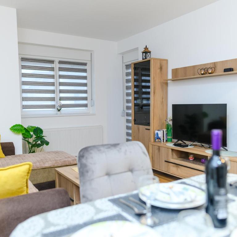 Apartmani LORENA Sokobanja, nedaleko od akvaparka - One-Bedroom Apartment with Balcony and City View - 20
