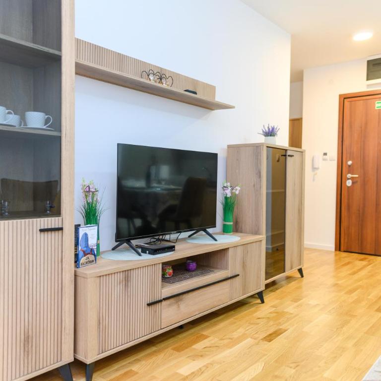 Apartmani LORENA Sokobanja, nedaleko od akvaparka - One-Bedroom Apartment with Balcony and City View - 35