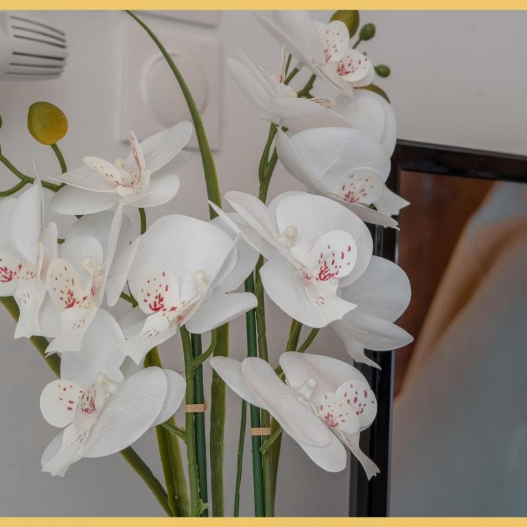 Chez Catarina I T2 I Sallanches - Appartement 1 Chambre - 8