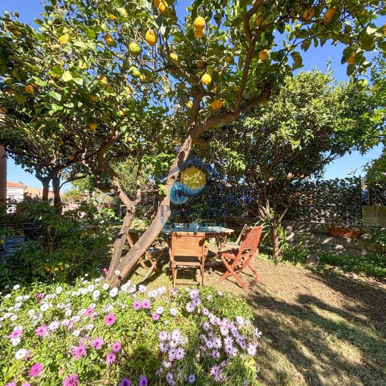 Sardegna 20 - Casa con 2 Camere da Letto - 10