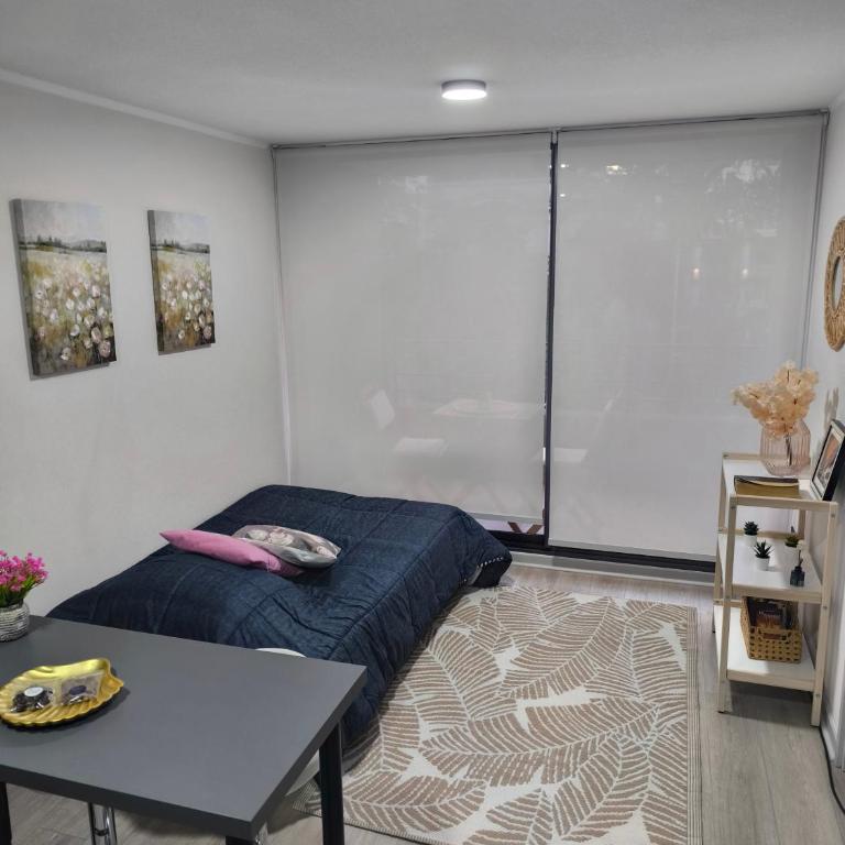 Departamento en Santiago - One-Bedroom Apartment - 16