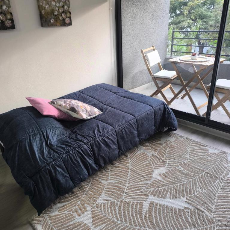 Departamento en Santiago - One-Bedroom Apartment - 17