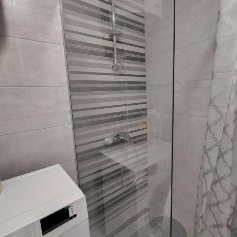 Apartmani LORENA Sokobanja, nedaleko od akvaparka - One-Bedroom Apartment with Balcony and City View - 44