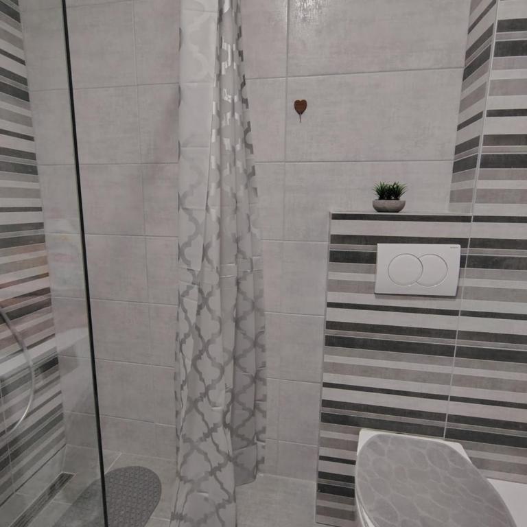 Apartmani LORENA Sokobanja, nedaleko od akvaparka - One-Bedroom Apartment with Balcony and City View - 46