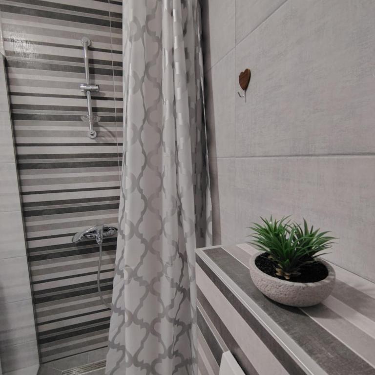 Apartmani LORENA Sokobanja, nedaleko od akvaparka - One-Bedroom Apartment with Balcony and City View - 47