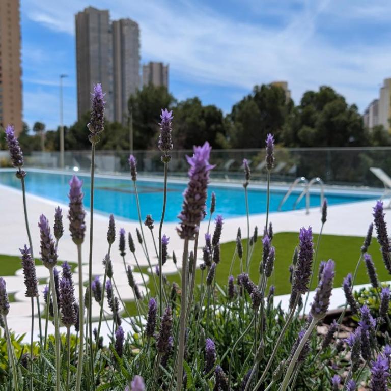 EAGLE TOWER sea view apartment - Apartamento de 3 dormitorios - 40