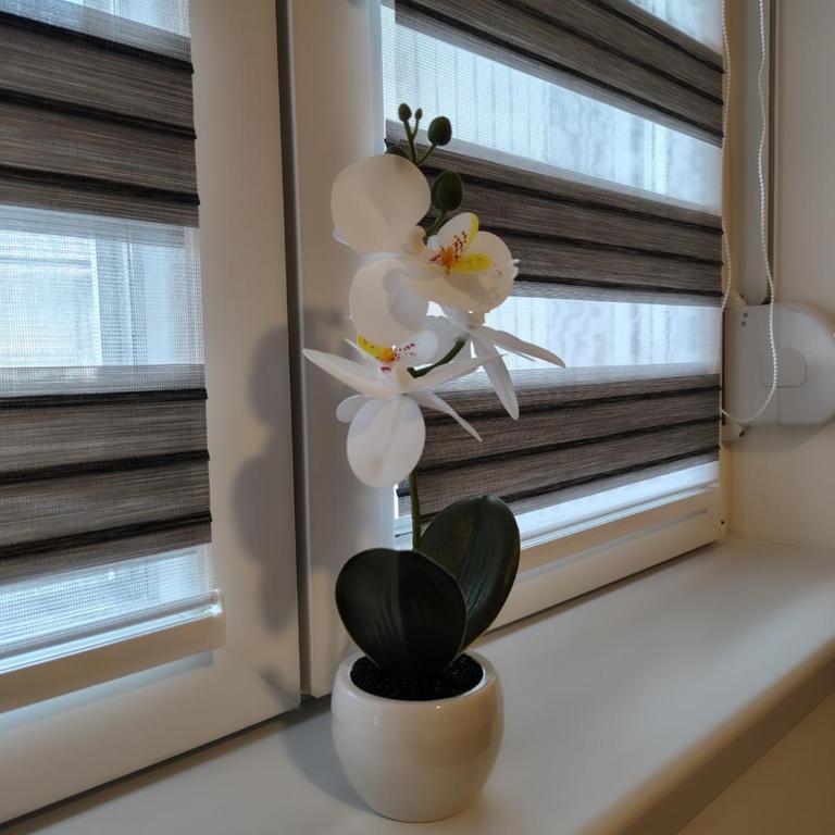 Apartmani LORENA Sokobanja, nedaleko od akvaparka - One-Bedroom Apartment with Balcony and City View - 43