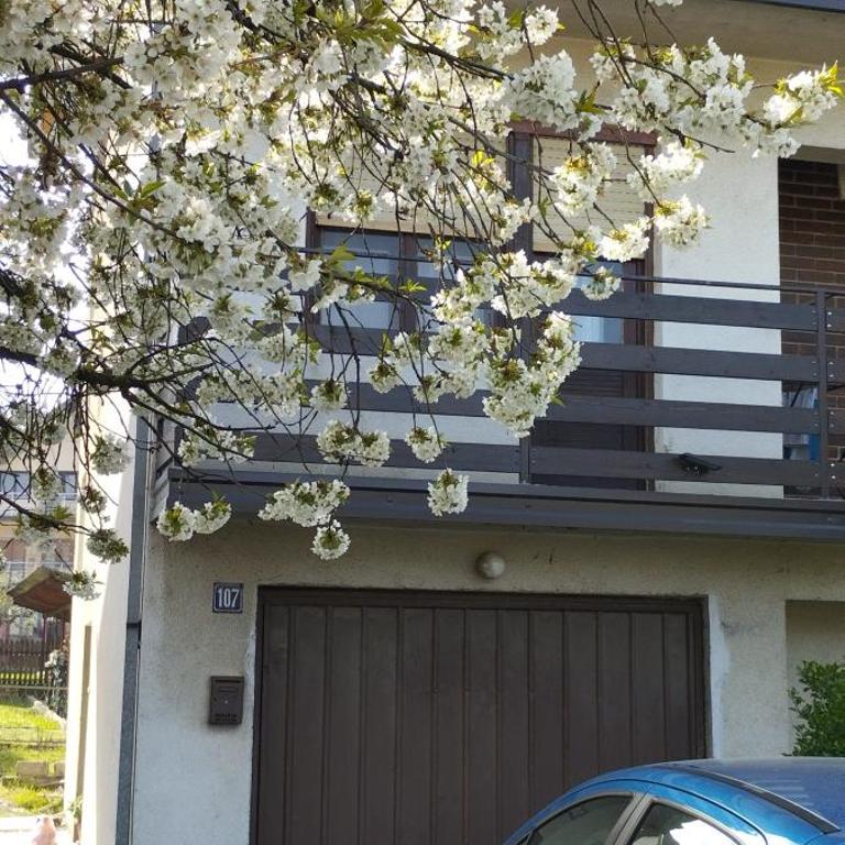 Apartman "Milka" Bajina Bašta - Apartman sa 1 Spavaćom Sobom - 4