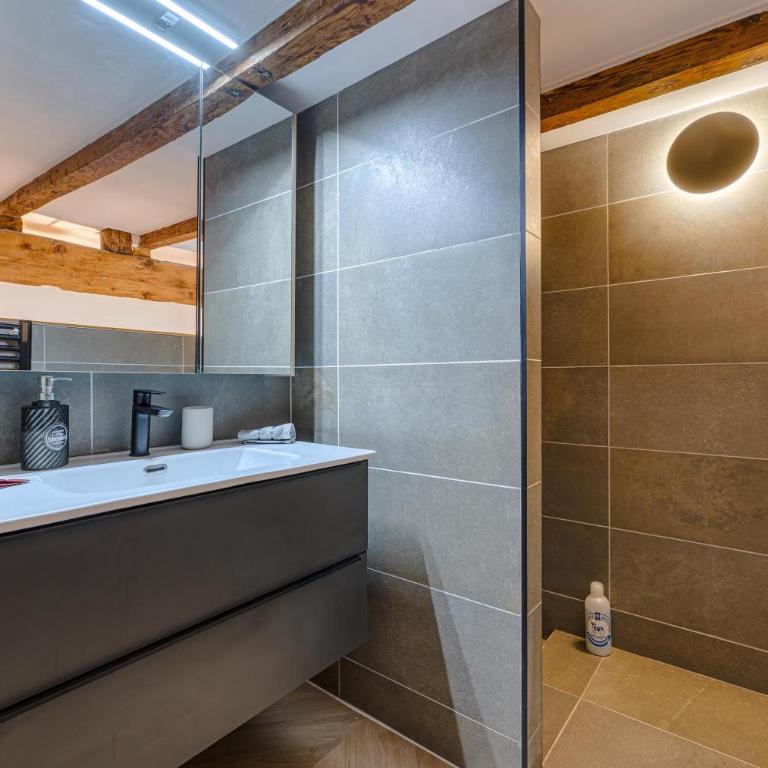 Le Refuge Urbain - Cœur de Chambéry - Apartamento - 4
