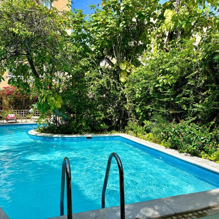 Calamari Homes - Centenario Casa 205 - Walled city - One-Bedroom Apartment - 13